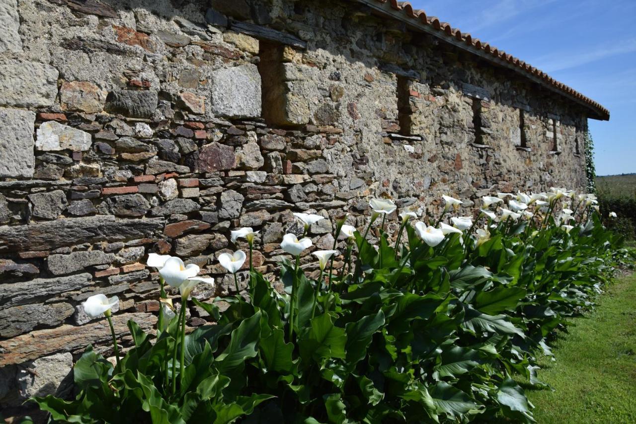 A La Haute Bouillere Bed and Breakfast Chavagnes-les-Redoux Exterior foto